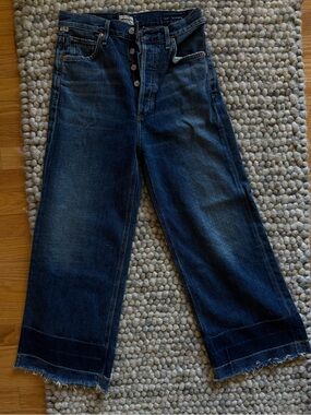 Citizens of Humanity Sasha High Rise Wide Leg Jean